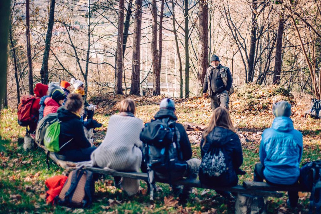 Podróże do Zaczarowanego Lasu