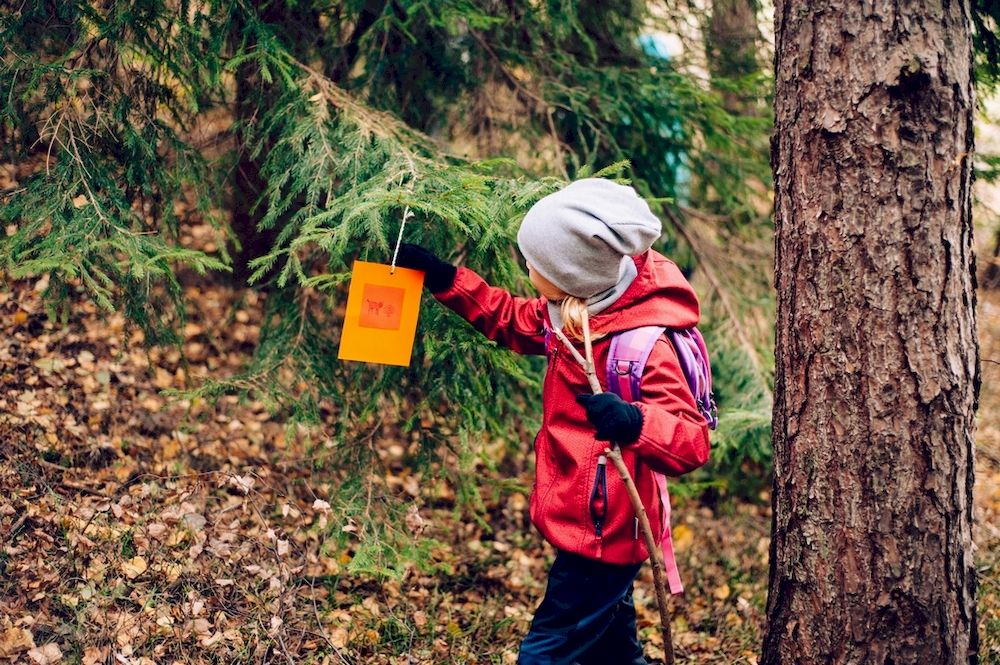 JESIEŃ Leśnych Rodzin 4 Jesień Leśnych Rodzin