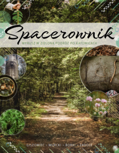 Wyrusz w zieloną podróż po Katowicach