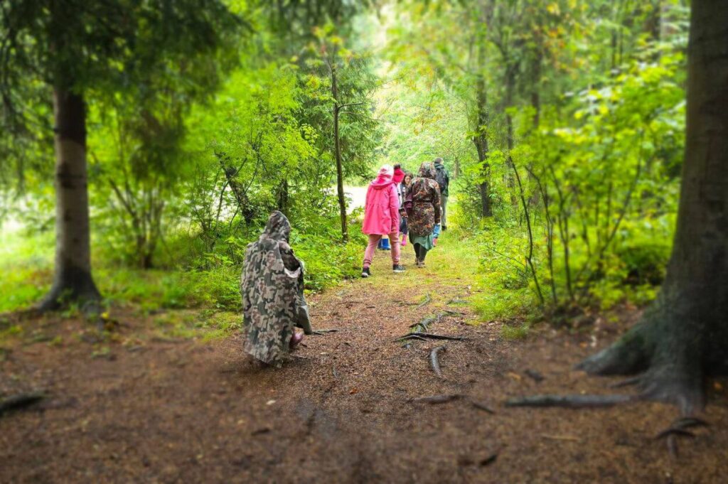 JESIEŃ Leśnych Rodzin 9 Sopotnia las