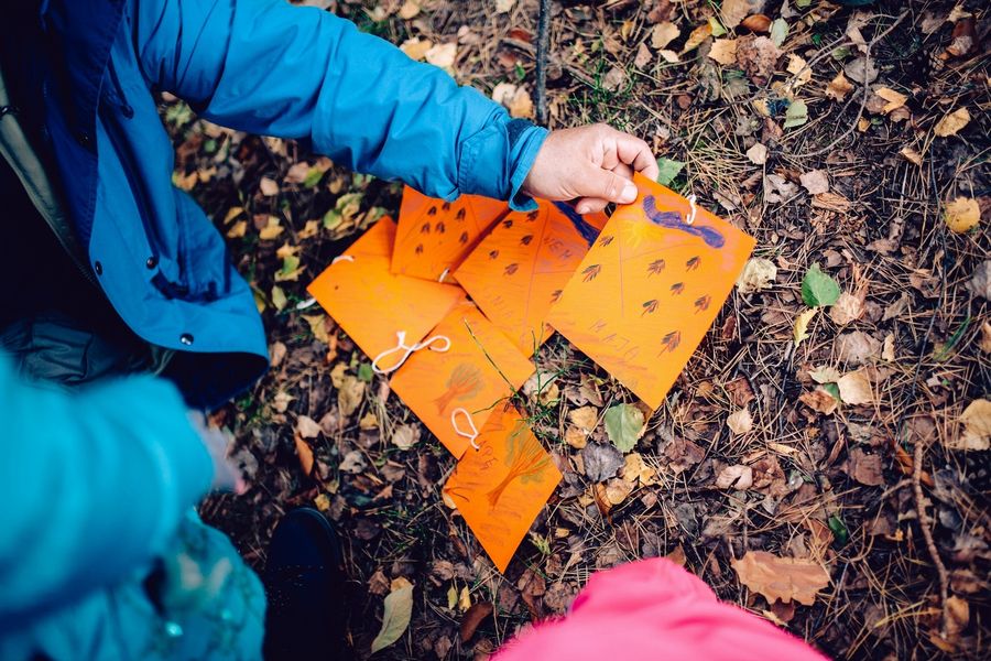 JESIEŃ Leśnych Rodzin 10 kawalki mapy